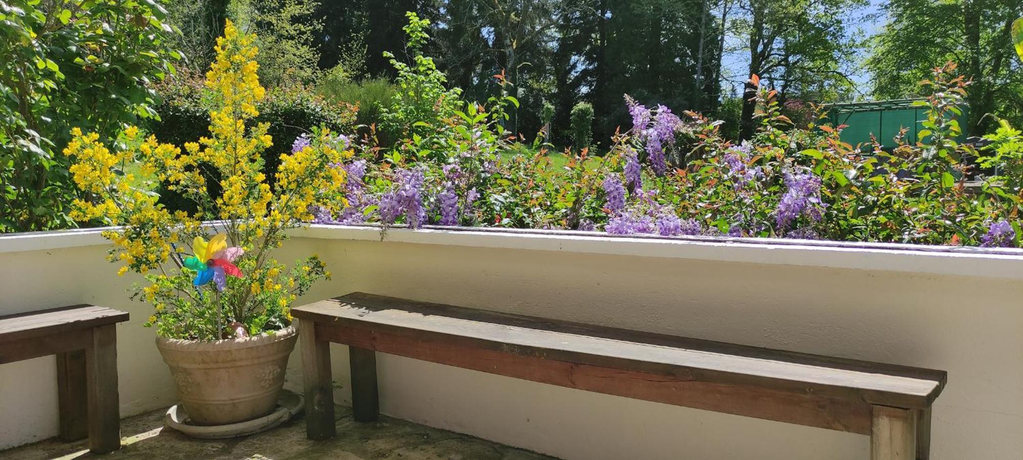 13 Bees Bed & Breakfast Конфоланс Екстериор снимка